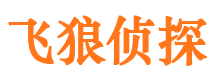 吴川市私家侦探